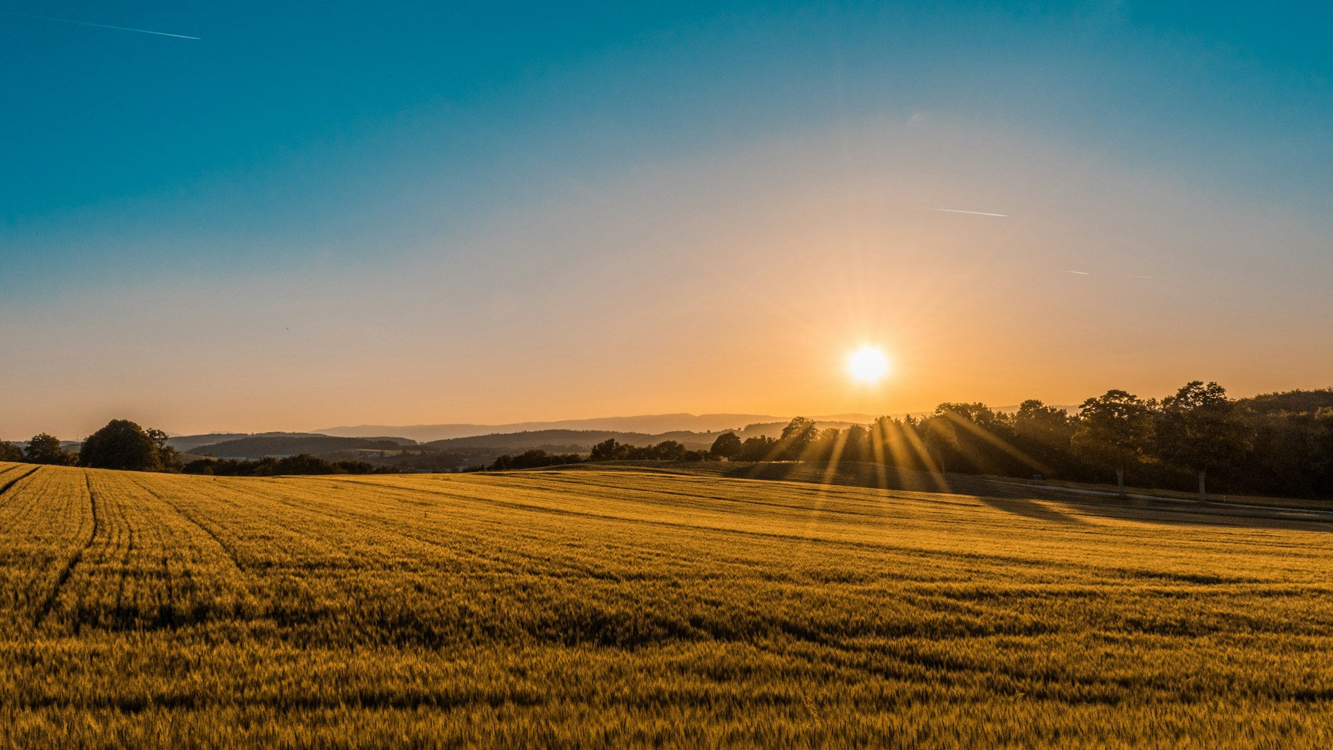 Golden sunset over the Saskatchewan prairie with endless grasslands meeting a vast open sky